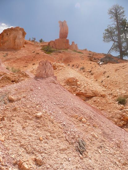 Teilweise waren die Felsen nicht nur rot und weiß, sondern auch lila gefärbt