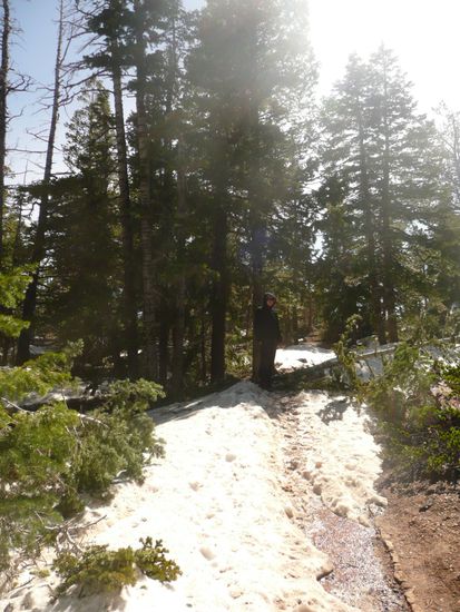 Schnee am Rainbowpoint, kalt wars!