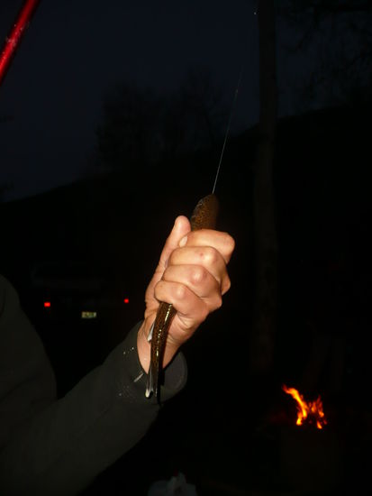 da ging sie angeln und fing den ersten Fisch 