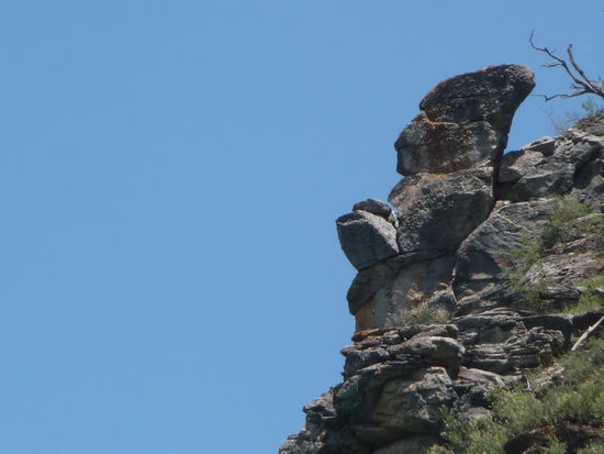 Sieht aus wie ein Zwerg, oder?