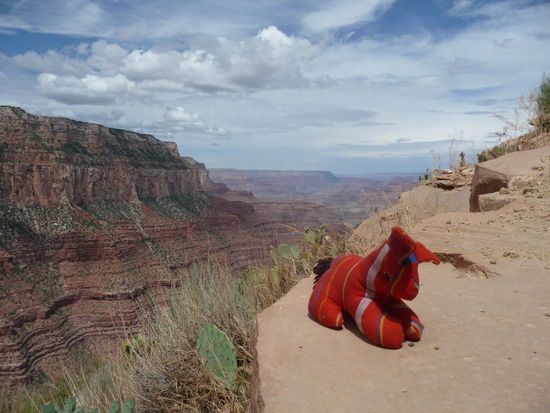 Immer muss ICH für die Abgrund-Bilder posieren.