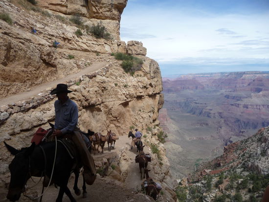 Wer zu faul zum laufen ist, kann sich auch für ein Vermögen 'nen Gaul mieten.