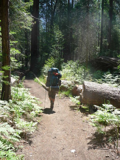 Am Anfang gabs noch richtig gute Wege....