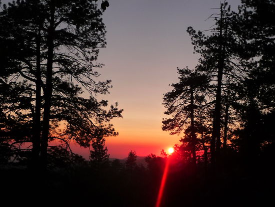 Letzter Abend im Kings Canyon