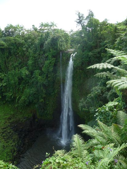 Wasserfall im Dschungel...