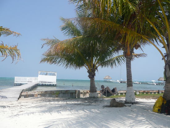 Vor zehn Minuten beim "rumhängen" und schreiben aufgenommen - als Vorgeschmack auf Belize 
