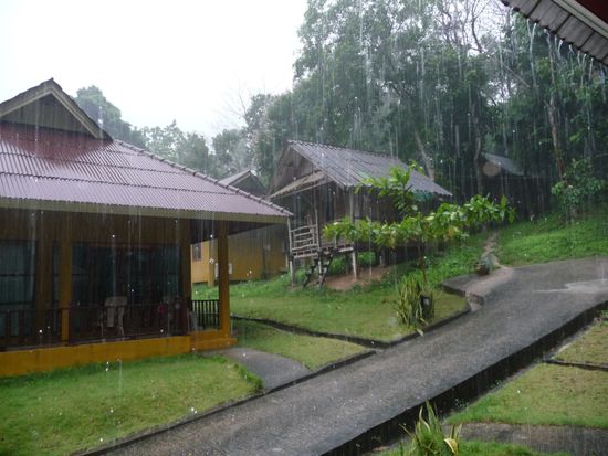 Monsun - Tage lang