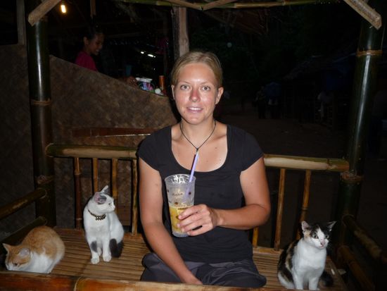 tierische Gesellschaft bei der Chicken Mama