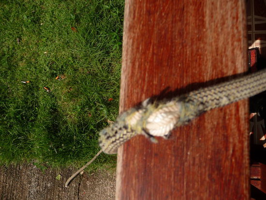 da war nach vielen Stürzen der Mantel hinüber...