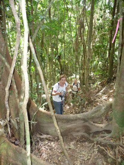 Am Bergfuß hieß es "very steep". Stimmt!