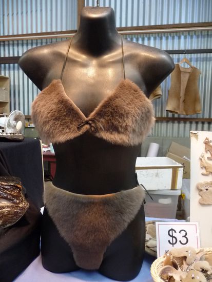 Die neueste Bikinimode aus Kängurufell wurde noch schnell angeschafft 