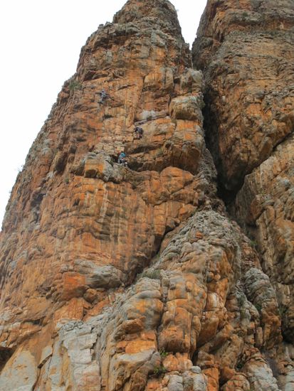 ... in unseren ersten Sterne Klassiker "The Bard"