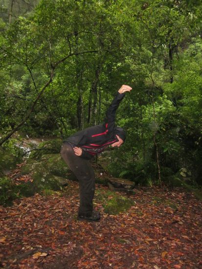 Im Regen ausharren? Tiere imitieren, wer errät was Sylvie darstellt?