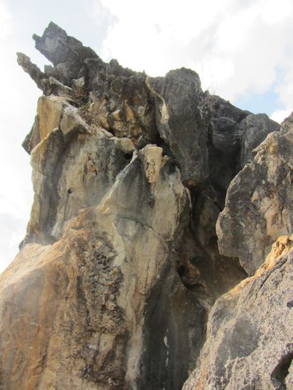 ...mit Blick auf den "Pferdekopf", strengt Euch mal bisschen an!