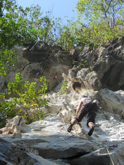 Stalagtiten, -miten und Sylvie
