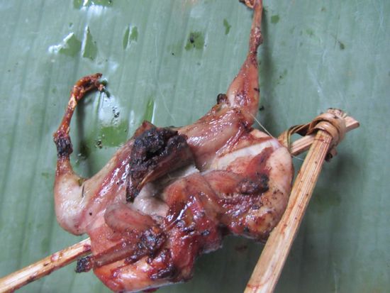 Küken, Täubchen,..? Egal, war knusprig. Besonders der Kopf