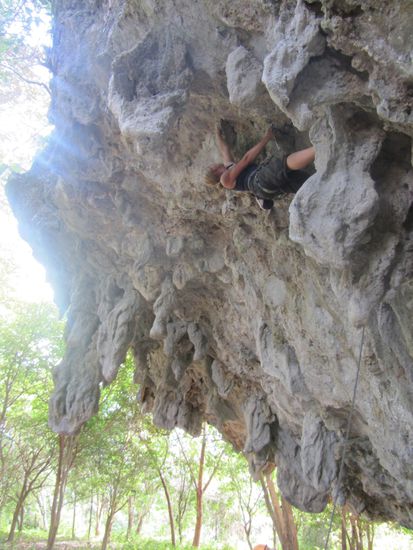 Sylvie rockt das Dach