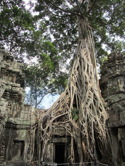 Wir lieben es, wie sich die Natur alles wieder geholt hat!