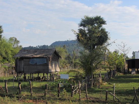 Der Kontrast zwischen Siem Reap und dem Umland könnte nicht größer sein. So lebt der Durchschnittskambodschaner.