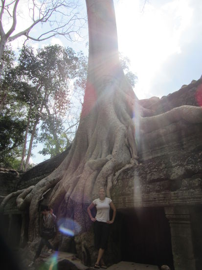 Jahrhundertelang im Dornröschenschlaf: Ta Prohm
