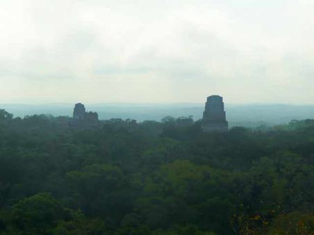 Ausblick vom 55m hohen "Tempel des Jaguarpriesters". Die kunstvoll verzierte Schnitzerei am Eingang wurde entfernt und der Tempel ist nicht mehr von innen zu besichtigen, da sich viele Touris nicht beherschen konnten, ihr Geschäft darin verrichteten und die Wände beschmierten!