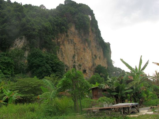 Der Damai Wall, die populärste Wand der Batu Caves