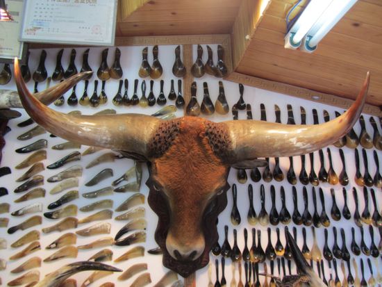 Ein Yak, oder was davon übrig ist. Aus dem Horn werden Kämme, Pfeifen und Löffel hergestellt