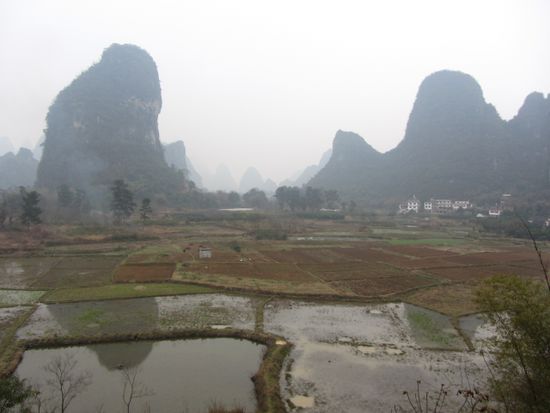 Karstgebirge und Reisfelder prägen das Umland von Yangshuo. Man kann die Felsen von der Stadt aus gut per Rad erreichen.