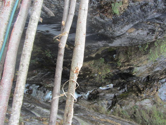und wankten weiter über die immer "solider"werdenden Brücken