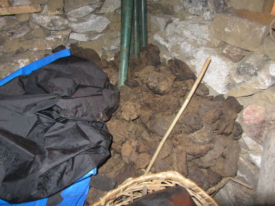 Die Yak-Kacke am Kopfende!