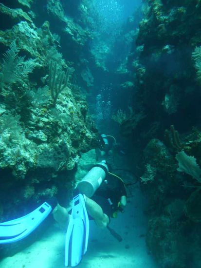 Die Swimm-throughs im Blue Channel