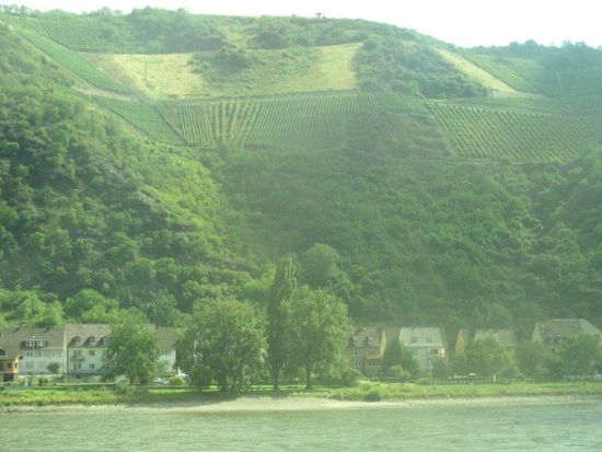 Zugfahrt durchs Rheintal