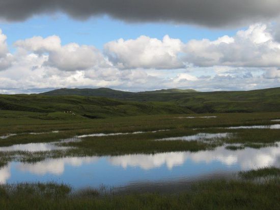 feuchte Wiesen, teilweise mit Seen