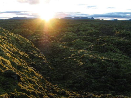 Sonnenuntergang hinter bemoosten Lavafeld