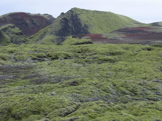 Varmárdalur Lavafeld