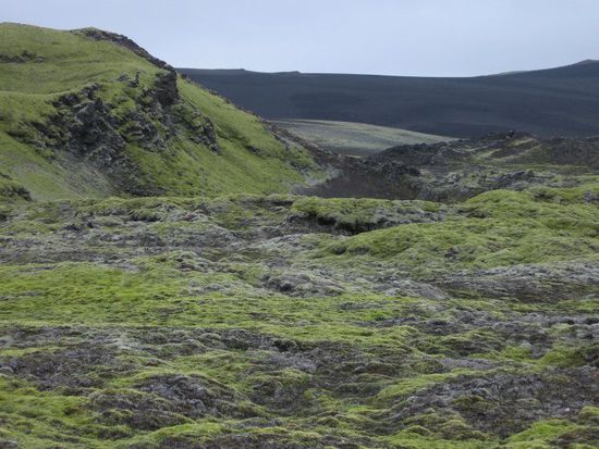 Varmárdalur Lavafeld