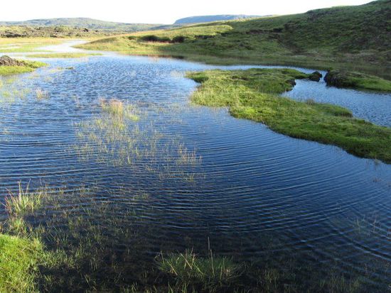 Der junge Öðulbrúará Fluss kurz hinter unserem Zeltplatz