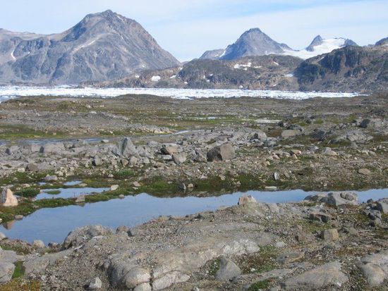 gelandet auf Grönland