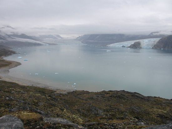 Kârale Gletscher am Ende dieses Fjords
