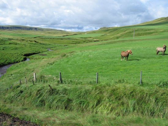 Landschaft auf Island