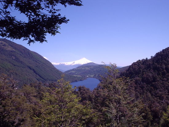 Wald, See, Vulkan - perfekter Ausblick
