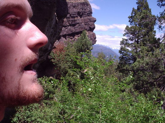 Profile im Vergleich