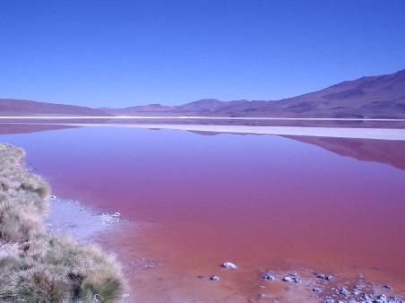 Laguna Colorada