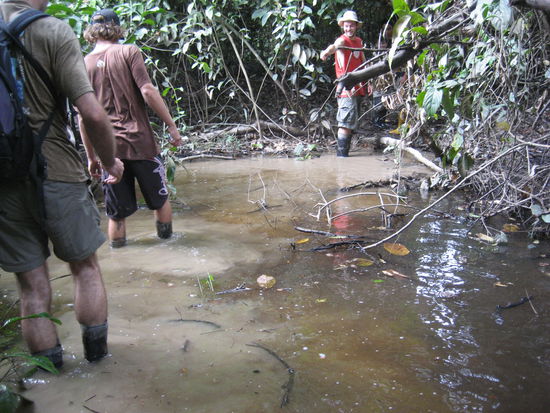 Man darf nicht nachdenken, was da fuer Tiere und/oder Pazillen drin herumschwimmen koennten...einfach rein!
