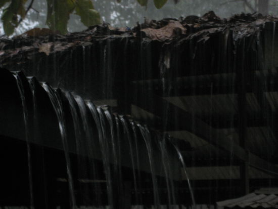 der relativ uebliche unglaublich starke Nachmittagsregen im Dschungel. Ist aber eine angenehme natuerliche Dusche.