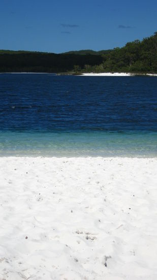 Strand am Lake McKanzie