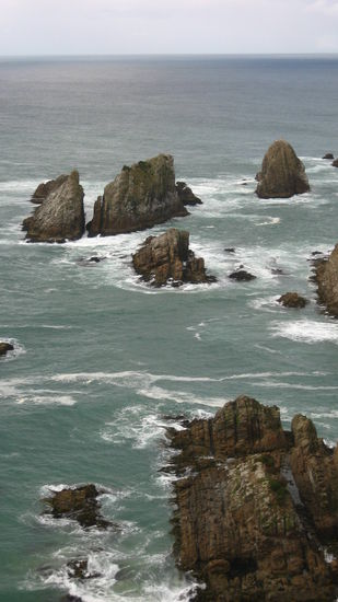 "Nugget Point"