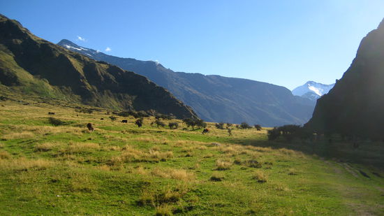 wieder in grossen Tal..