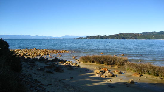 Am Anfang des Trecks