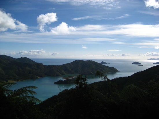 am Weg nach Hopewell (Naehe French Pass)